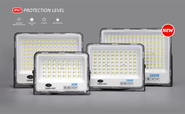 Keou High Lumen Waterproof IP67 Explosion-Proof 100W LED lamp LED Flood Light