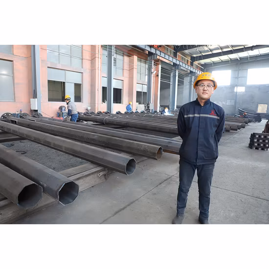 Arm Bracket Galvanized Anchor Bolts Traffic Steel Electric Street Light Pole